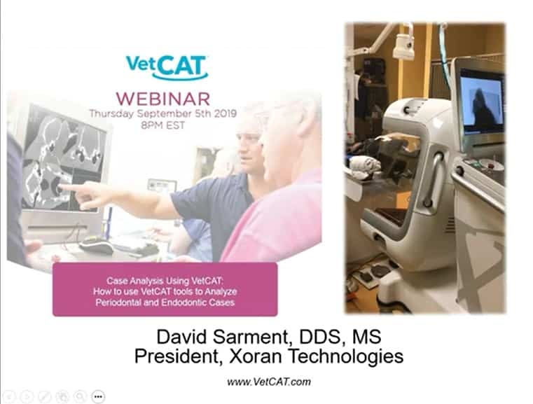 vetcat_webinar_sarment_2019