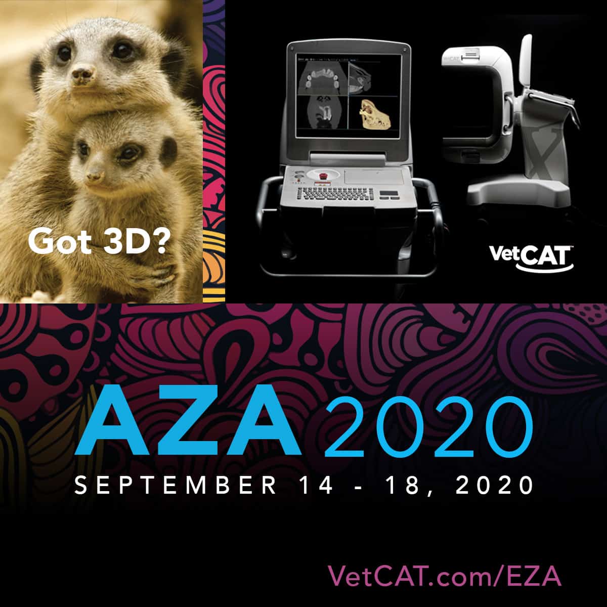 AZA 2020 VIRTUAL CONFERENCE Xoran Technologies LLC