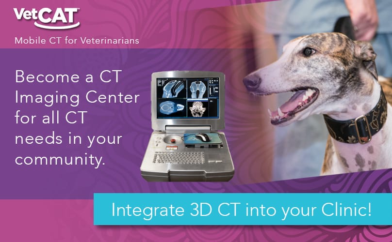 VetCAT_ad_social_media_ct_leader