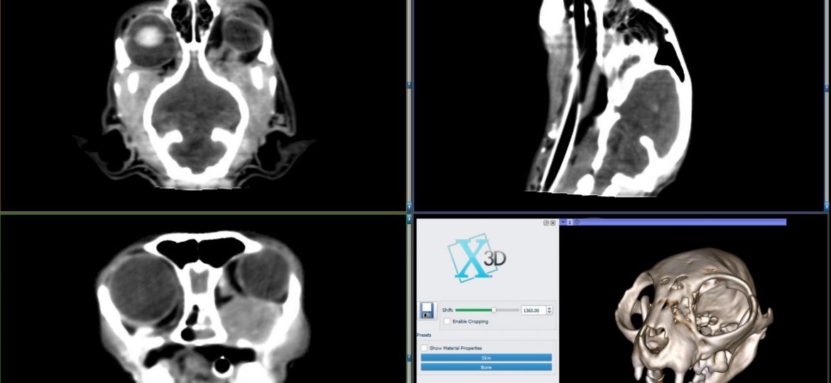 3D image
