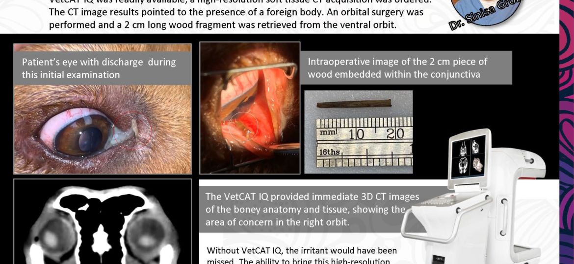 Treatment Snapshot Dr G