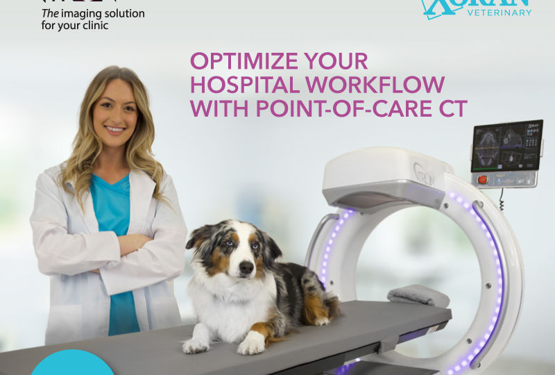 VHMA Digital Ad_June 2022