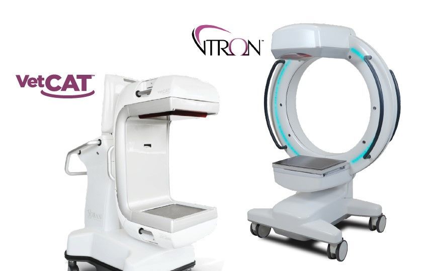 Xoran Veterinary 3D CT
