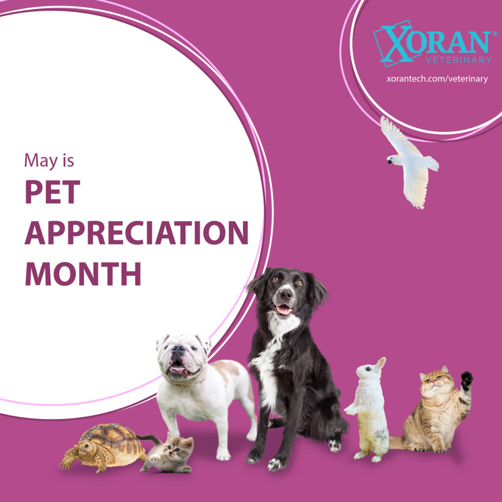 May is Pet Appreciation Month
