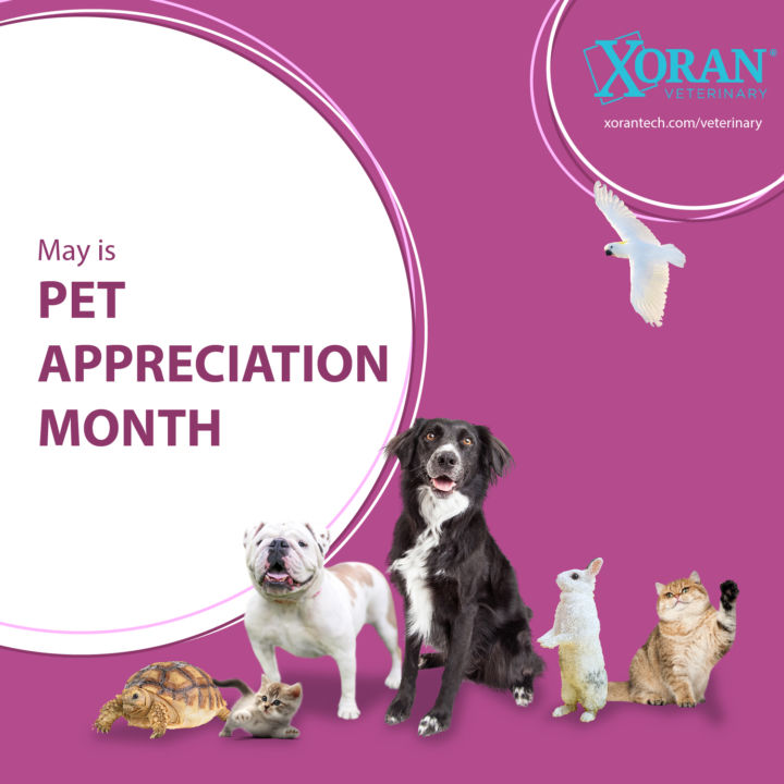 Pet Appreciation Month