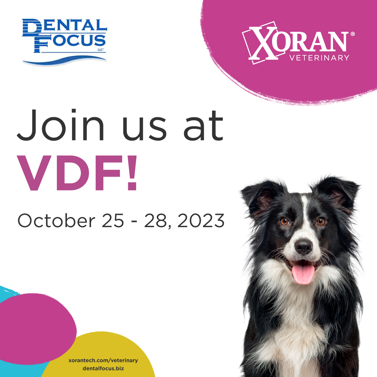 Visit Xoran at the Veterinary Dental Forum