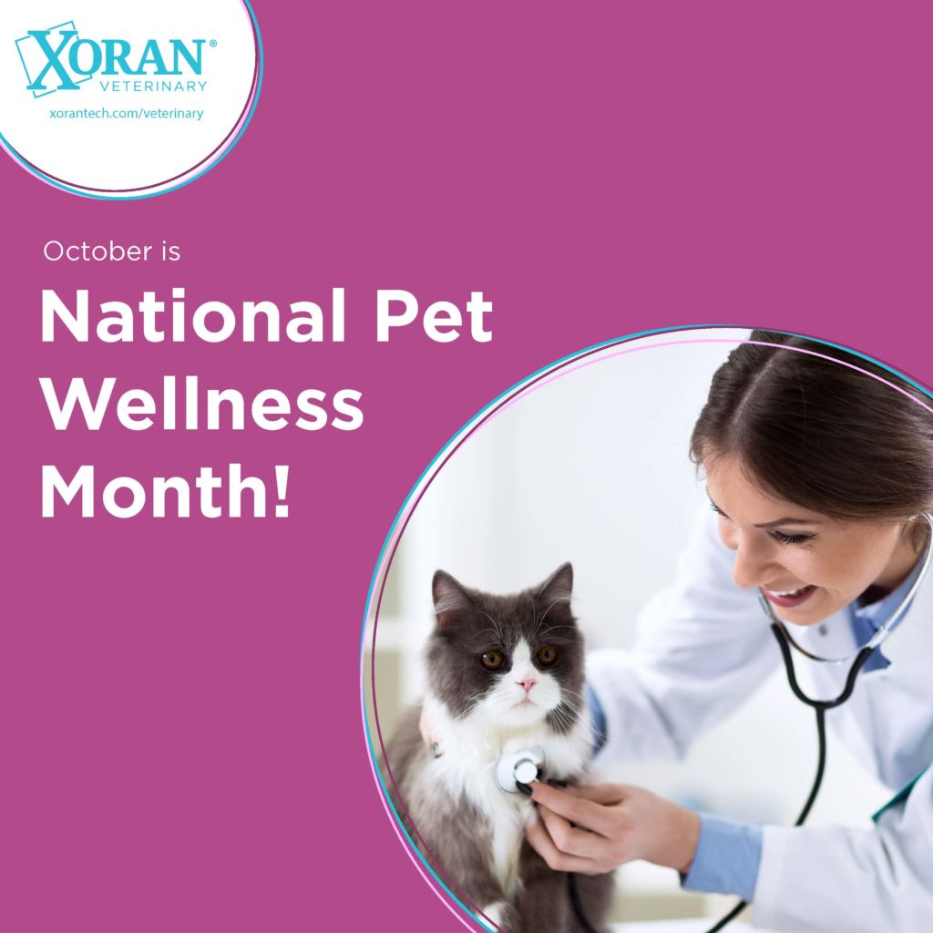 October is National Pet Wellness Month