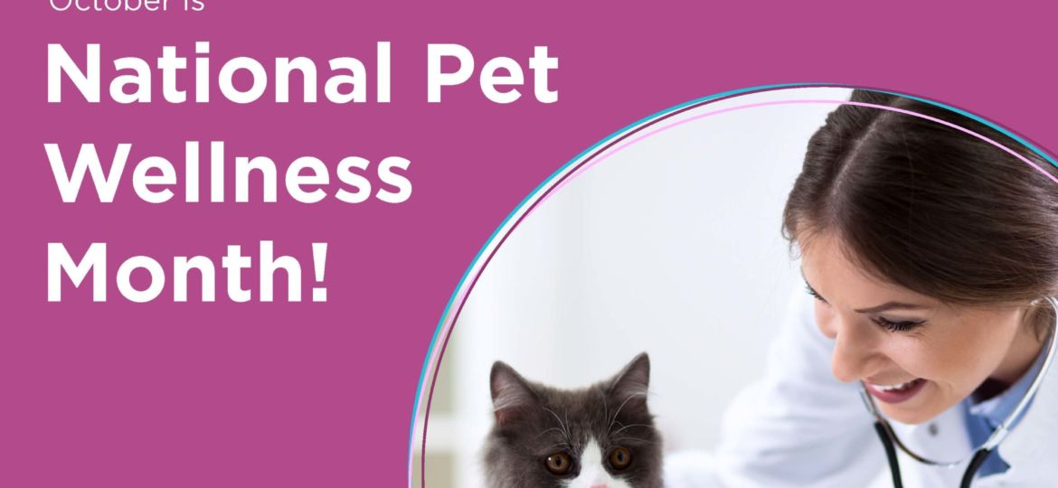 National Pet wellness Month_Page_1