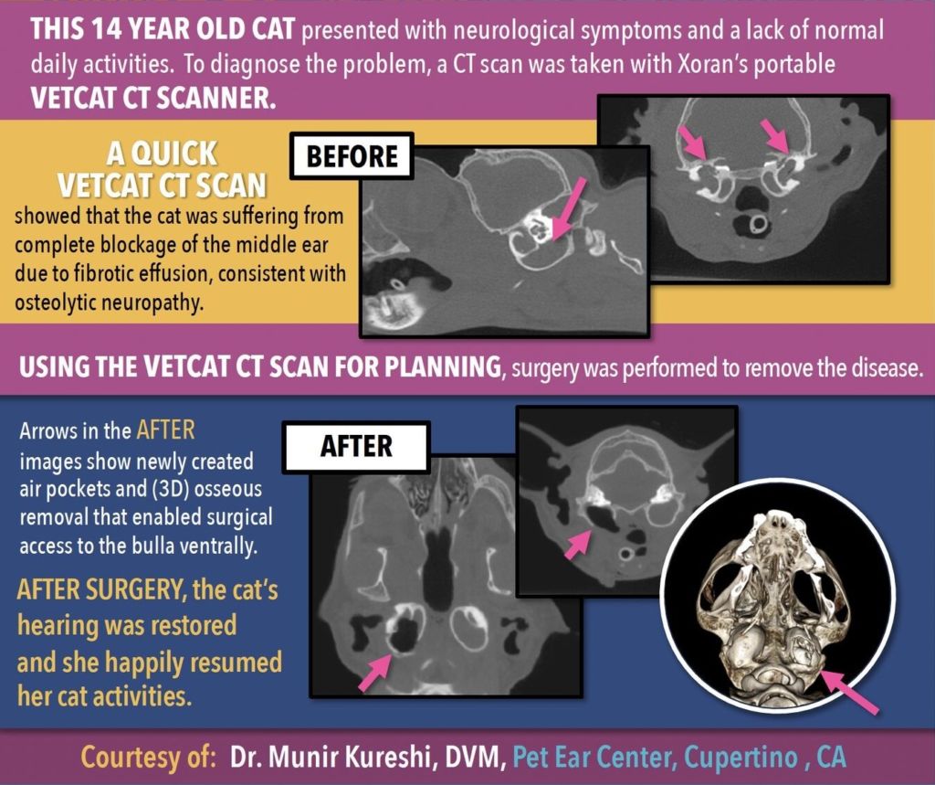 VetCAT CT Informs Surgical Plan for Otitis Media With Effusion