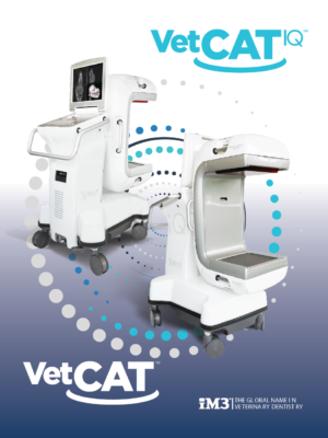 Screenshot 2025-09-25 095415